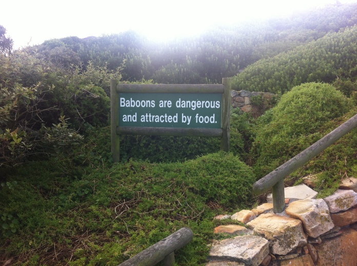 Beware of Baboons